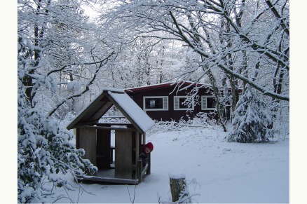 Bungalowpark de Bronzen Emmer Drenthe met paardenstalling en manege VMP019